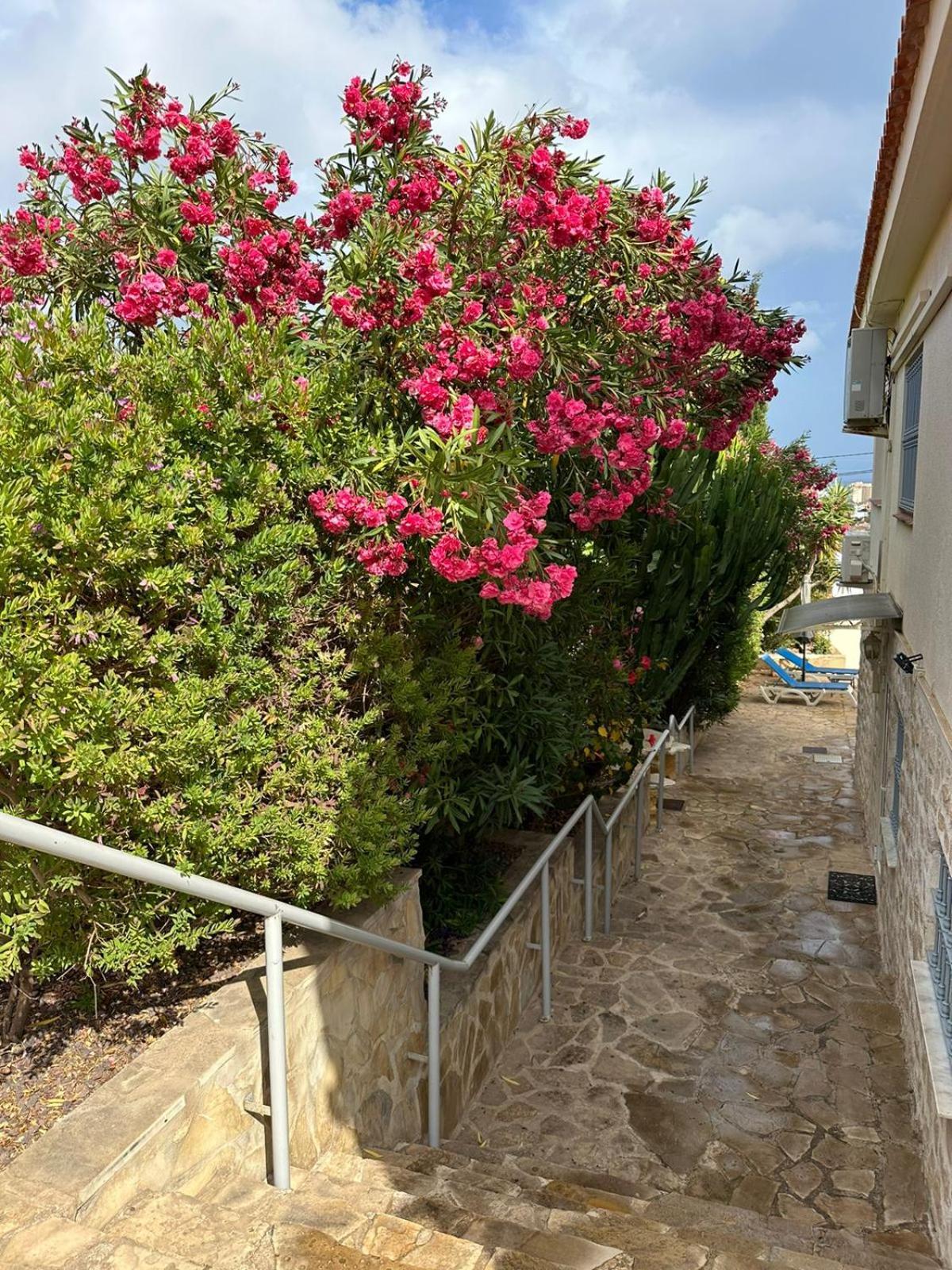 Apartamentos En La Villa Con El Territorio Comun En Κάλπε Εξωτερικό φωτογραφία